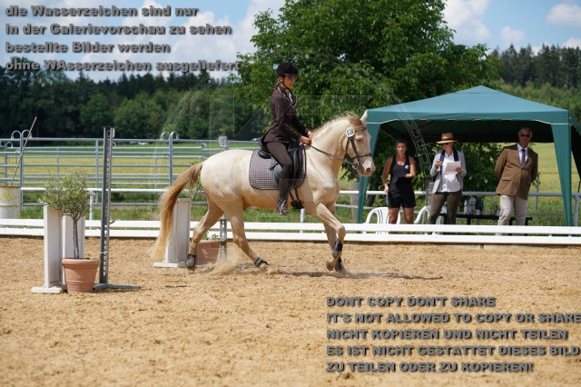 s_K3F06657.JPG